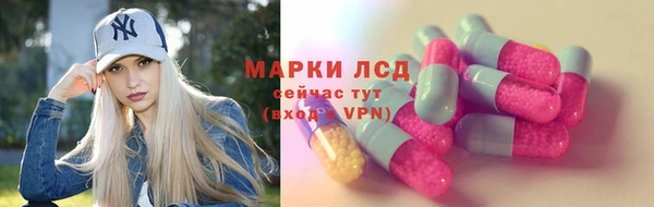 молекула духа Каменногорск