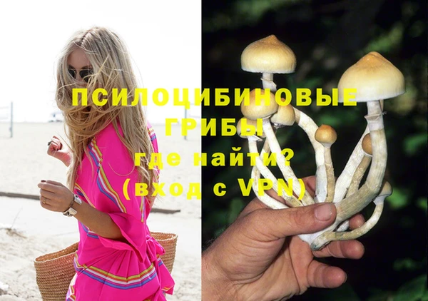 гашиш Абаза